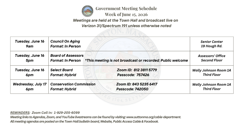 Government Meeting Schedule Week of June15, 2026
