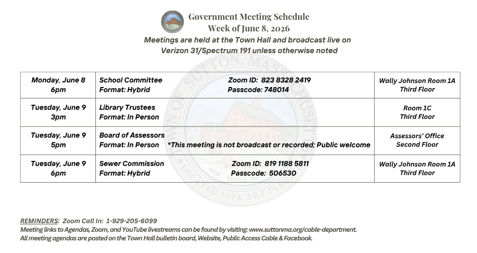Government Meeting Schedule Week of June 8, 2026