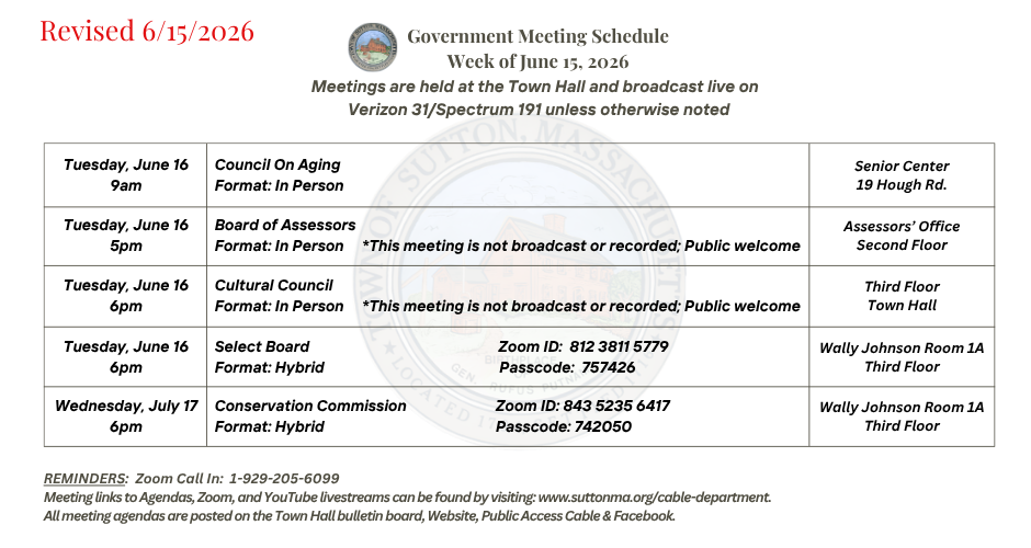 Government Meeting Schedule Week of June15, 2026