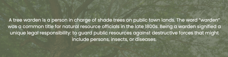 Tree Warden description