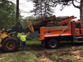 Loader lifting tree into truck