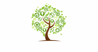 Sustainability