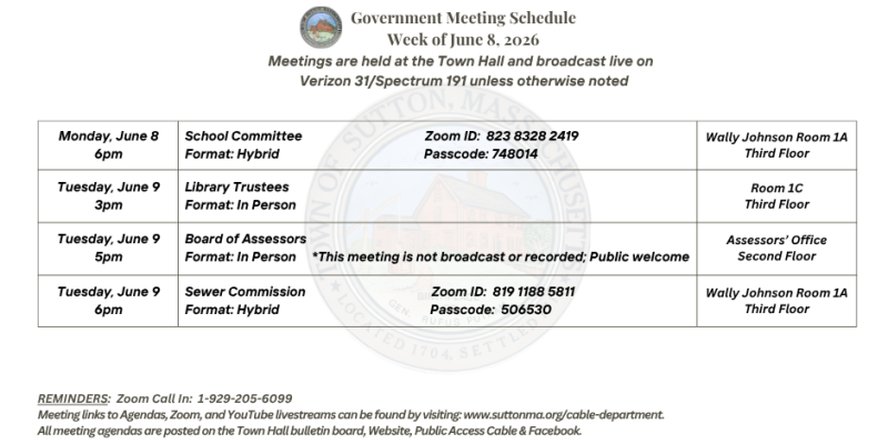 Government Meeting Schedule Week of June 8, 2026